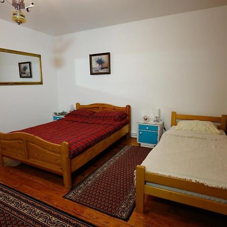 Apartman Carpe Diem Zaječar Eksteriør billede